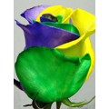 Tinted Roses - Yellow, Green, Purple